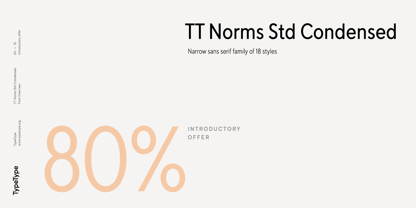 TT Norms Std Condensed Thin Font preview